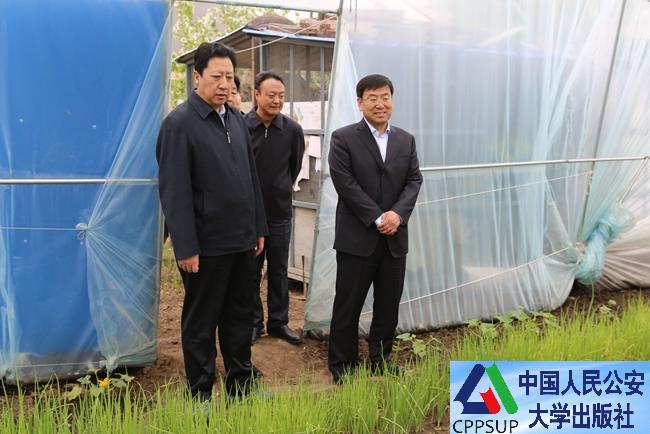 按住Ctrl键+鼠标滚轮缩放