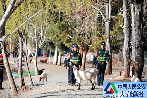 按住Ctrl键+鼠标滚轮缩放